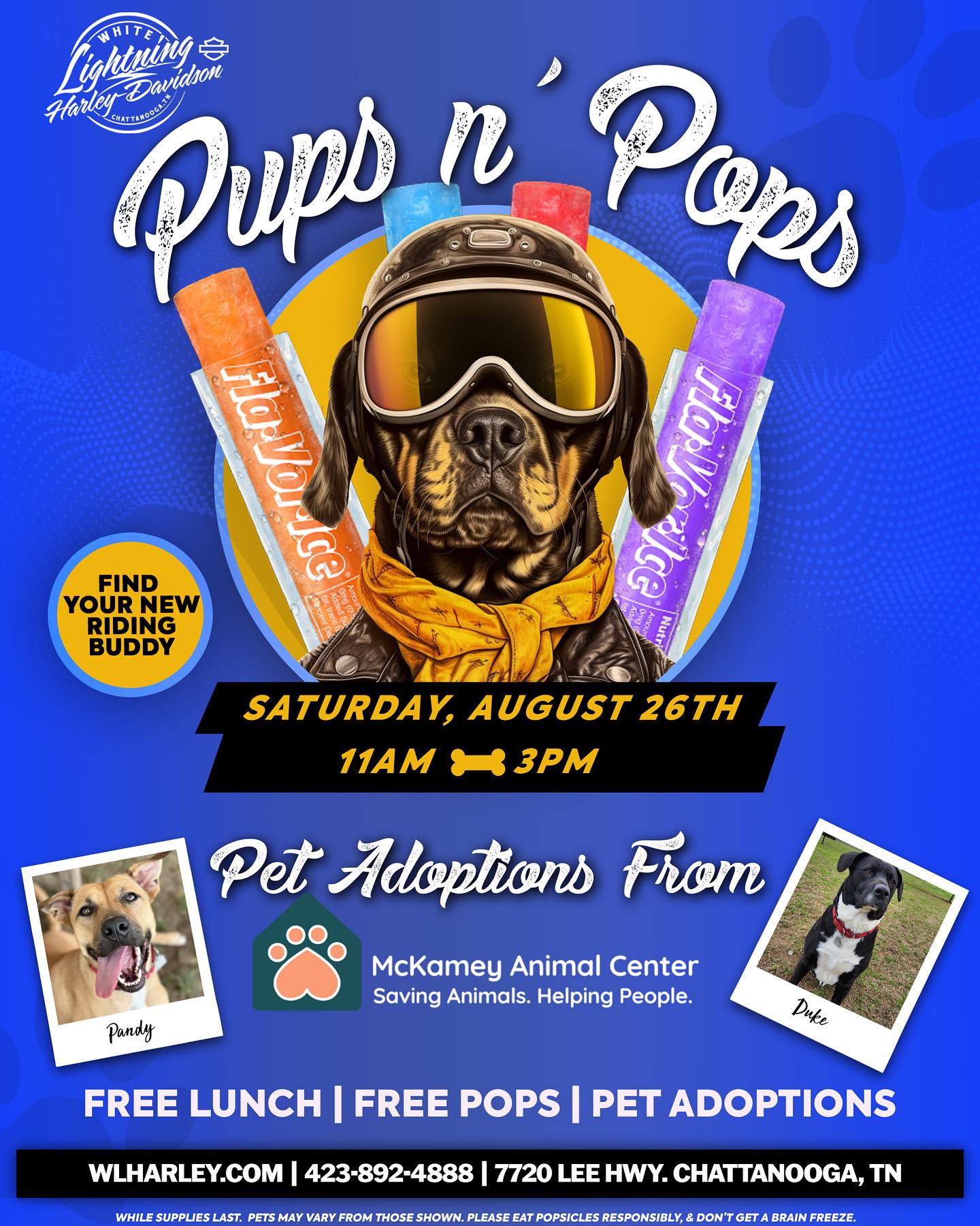 white lightning harley