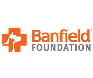 Website - Community Partners
