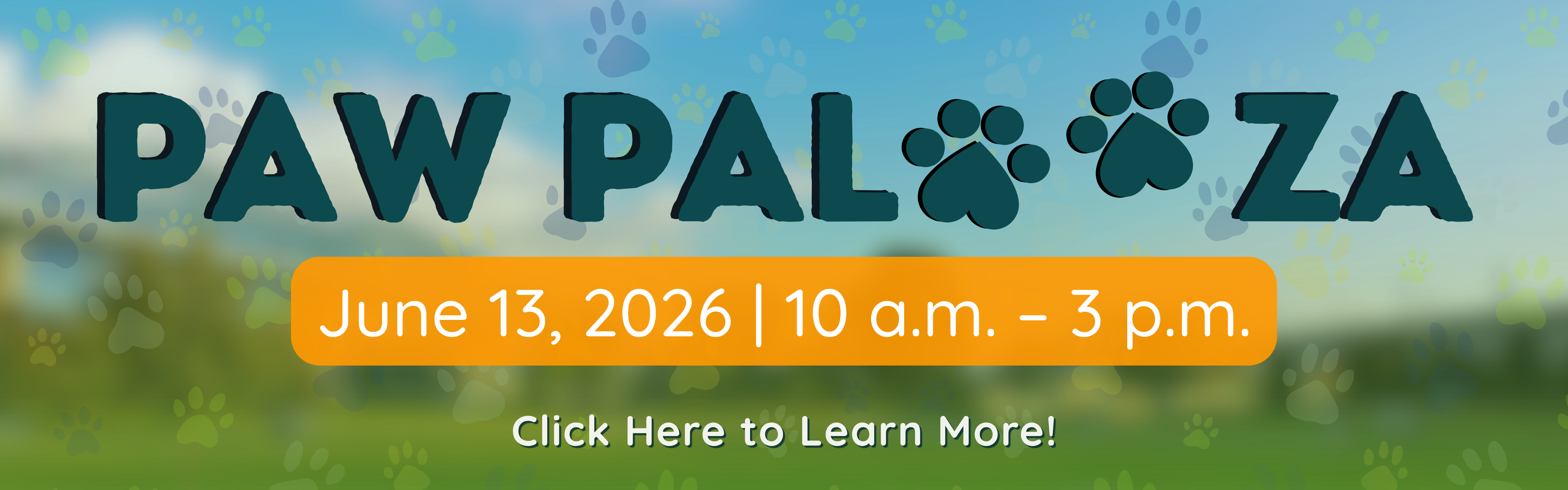 palooza banner